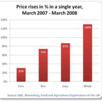 food-price-index-rises-march-07-march-08